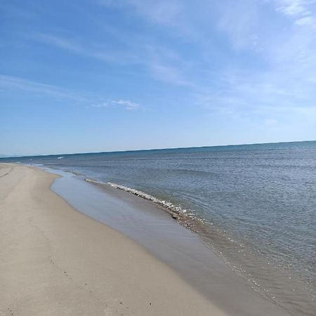 100 Metros De La Playa Apartment Puerto de Sagunto Ngoại thất bức ảnh