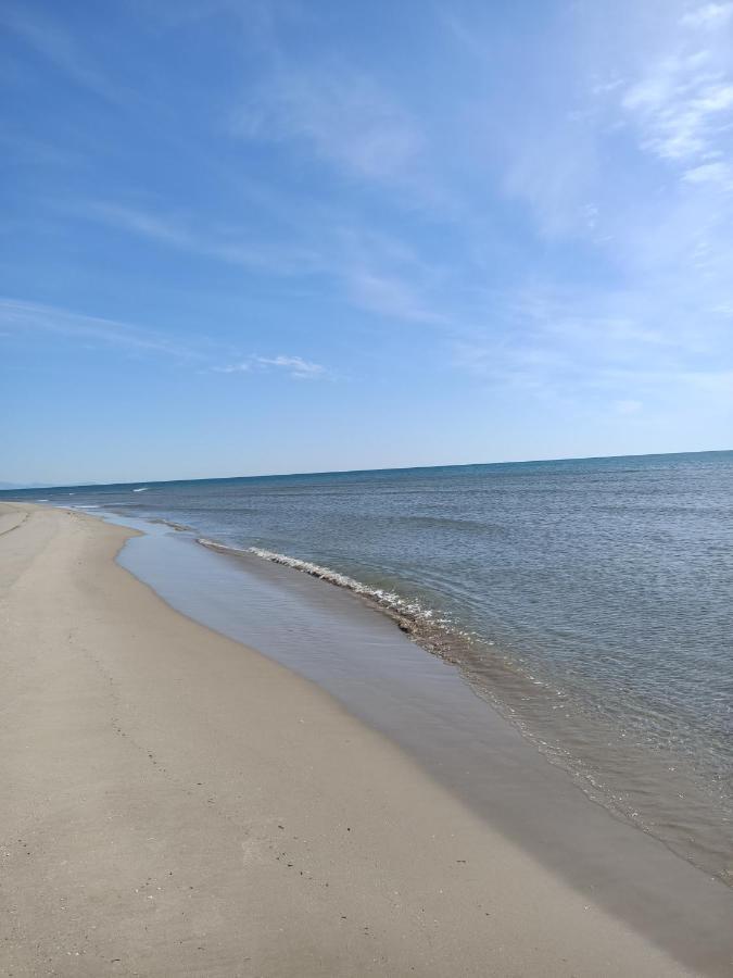 100 Metros De La Playa Apartment Puerto de Sagunto Ngoại thất bức ảnh